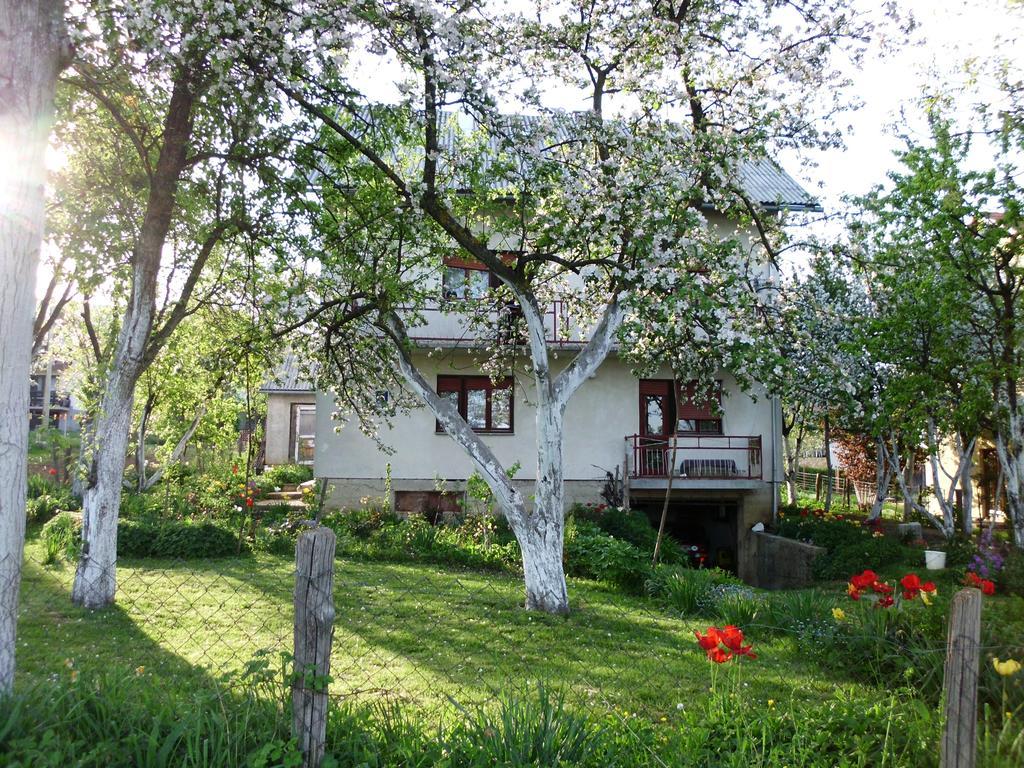 Guest House Krga كورينيتسا المظهر الخارجي الصورة